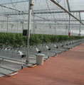 Greenhouse Heating and Climatization System Set up