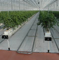 Greenhouse Heating and Climatization System