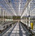 Greenhouse Heating and Climatization System Set up